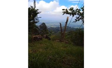 FINCA PRODUCTIVA EN VENTA LA QUISQUINA, PALMIRA VALLE DEL CAUCA