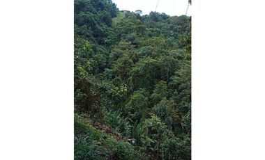 FINCA PRODUCTIVA EN VENTA LA QUISQUINA, PALMIRA VALLE DEL CAUCA