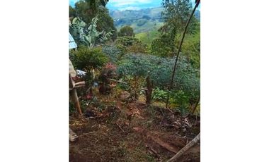 FINCA PRODUCTIVA EN VENTA LA QUISQUINA, PALMIRA VALLE DEL CAUCA