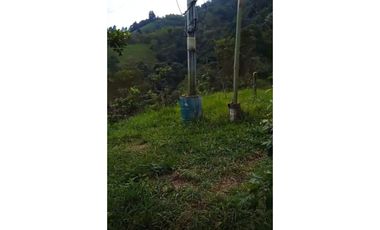FINCA PRODUCTIVA EN VENTA LA QUISQUINA, PALMIRA VALLE DEL CAUCA