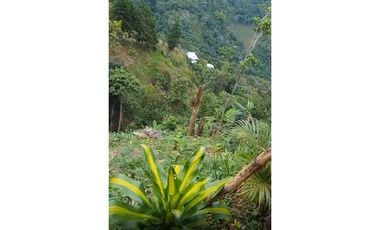 FINCA PRODUCTIVA EN VENTA LA QUISQUINA, PALMIRA VALLE DEL CAUCA