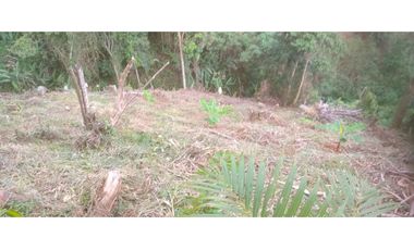 FINCA PRODUCTIVA EN VENTA LA QUISQUINA, PALMIRA VALLE DEL CAUCA