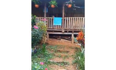 FINCA PRODUCTIVA EN VENTA LA QUISQUINA, PALMIRA VALLE DEL CAUCA