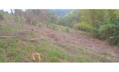 FINCA PRODUCTIVA EN VENTA LA QUISQUINA, PALMIRA VALLE DEL CAUCA