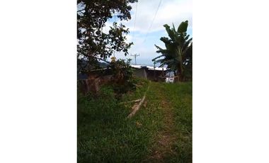 FINCA PRODUCTIVA EN VENTA LA QUISQUINA, PALMIRA VALLE DEL CAUCA