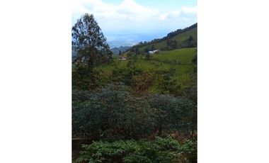 FINCA PRODUCTIVA EN VENTA LA QUISQUINA, PALMIRA VALLE DEL CAUCA