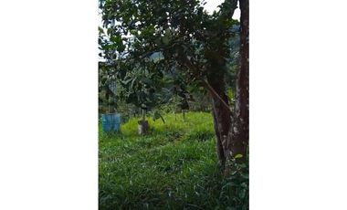 FINCA PRODUCTIVA EN VENTA LA QUISQUINA, PALMIRA VALLE DEL CAUCA