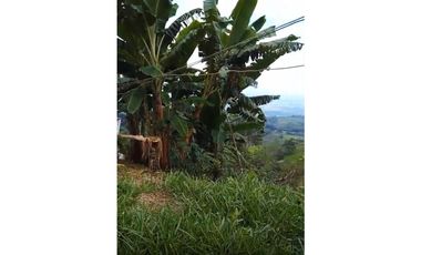 FINCA PRODUCTIVA EN VENTA LA QUISQUINA, PALMIRA VALLE DEL CAUCA