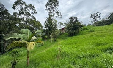 Finca en Arriendo Vereda Carrizal - Fomeque- Cundinamarca
