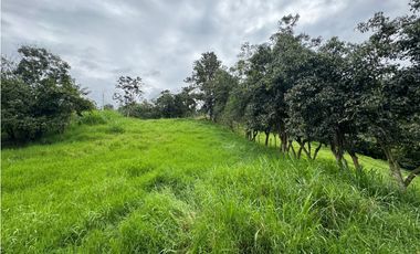 Finca en Arriendo Vereda Carrizal - Fomeque- Cundinamarca