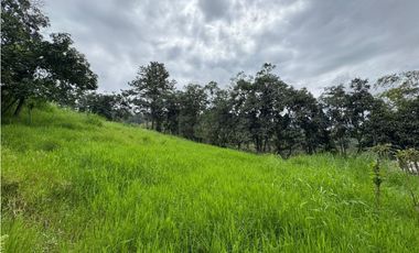 Finca en Arriendo Vereda Carrizal - Fomeque- Cundinamarca