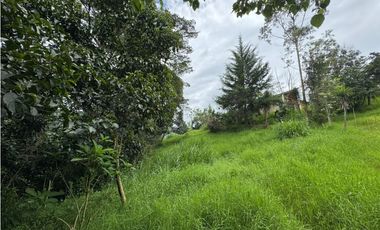 Finca en Arriendo Vereda Carrizal - Fomeque- Cundinamarca