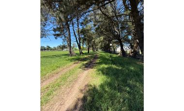 VENTA/ CASA QUINTA/ FINCA/ 6 HEC/TOMA PERMUTAS MDP Y CAPITAL