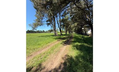 VENTA/ CASA QUINTA/ FINCA/ 6 HEC/TOMA PERMUTAS MDP Y CAPITAL