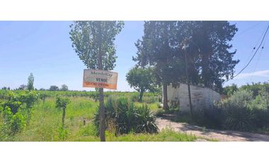 Chalet en venta en Rivadavia, Mendoza