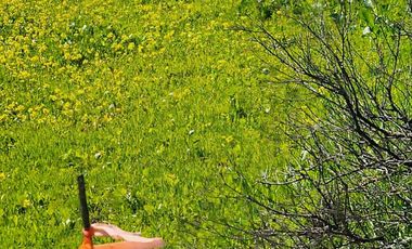 TERRENOS EN VENTA MAR DE CALAFIA - PLAYAS DE ROSARITO