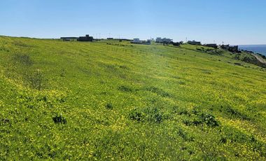 TERRENOS EN VENTA MAR DE CALAFIA - PLAYAS DE ROSARITO