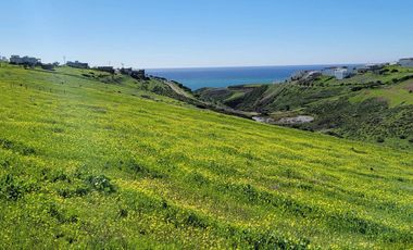TERRENOS EN VENTA MAR DE CALAFIA - PLAYAS DE ROSARITO