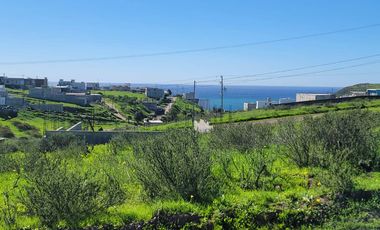 TERRENOS EN VENTA MAR DE CALAFIA - PLAYAS DE ROSARITO