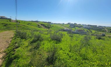 TERRENOS EN VENTA MAR DE CALAFIA - PLAYAS DE ROSARITO