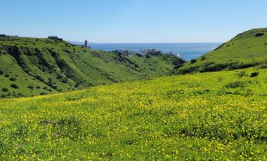 TERRENOS EN VENTA MAR DE CALAFIA - PLAYAS DE ROSARITO