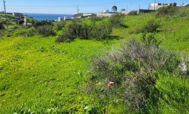 TERRENOS EN VENTA MAR DE CALAFIA - PLAYAS DE ROSARITO