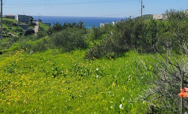 TERRENOS EN VENTA MAR DE CALAFIA - PLAYAS DE ROSARITO