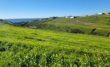TERRENOS EN VENTA MAR DE CALAFIA - PLAYAS DE ROSARITO
