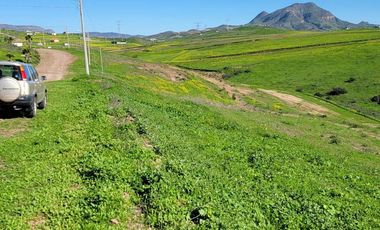 TERRENOS EN VENTA MAR DE CALAFIA - PLAYAS DE ROSARITO