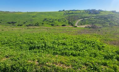 TERRENOS EN VENTA MAR DE CALAFIA - PLAYAS DE ROSARITO