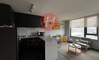 Departamento en Arriendo en Parque Prieto