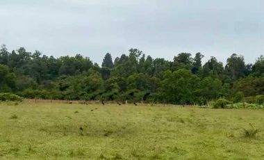 Parcela en venta en RÍO BUENO