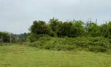 Parcela en venta en RÍO BUENO