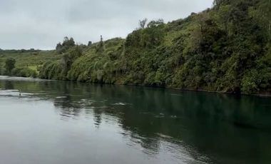 Parcela en venta en RÍO BUENO