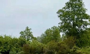 Parcela en venta en RÍO BUENO