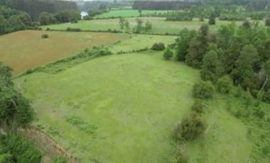 Parcela en venta en RÍO BUENO