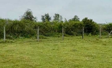 Parcela en venta en RÍO BUENO