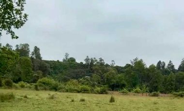 Parcela en venta en RÍO BUENO