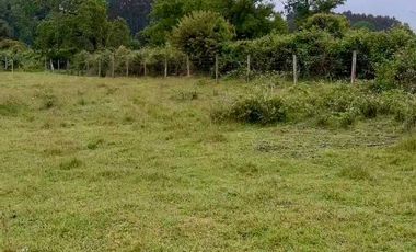 Parcela en venta en RÍO BUENO