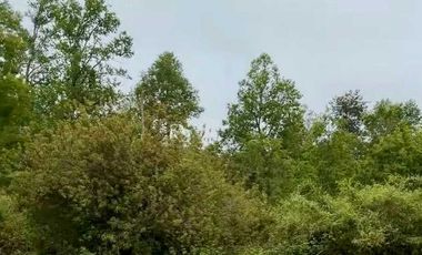 Parcela en venta en RÍO BUENO