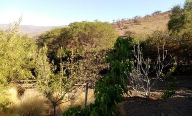 Chacabuco- Rumbo a  Los Andres - Ruta 78/Kilometro  41 - Casa - Arriendo