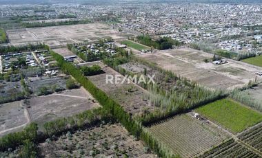 PRE-VENTA EXCLUSIVA | LOS CARDALES | CIPOLLETI