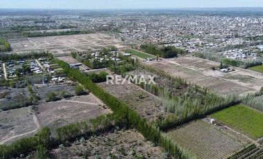 PRE-VENTA EXCLUSIVA | LOS CARDALES | CIPOLLETI