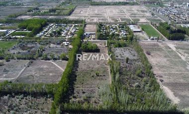 PRE-VENTA EXCLUSIVA | LOS CARDALES | CIPOLLETI