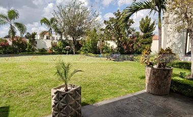 Palma Real, Reynosa
