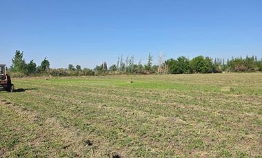 Finca en Lavalle