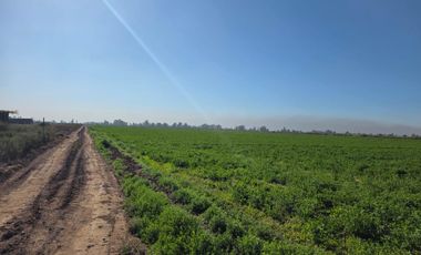 Finca en Lavalle