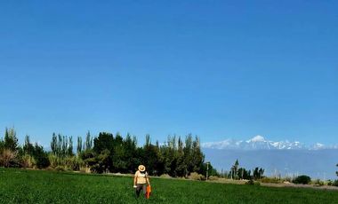 Finca en Lavalle