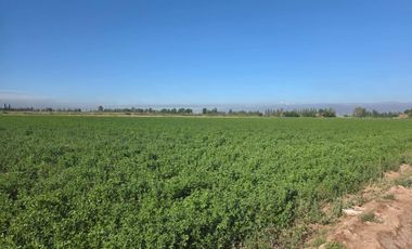Finca en Lavalle