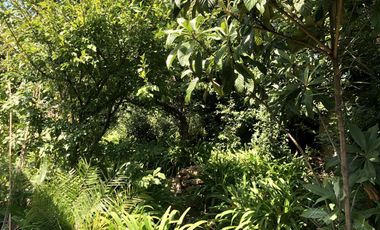 Excepcional Chalet de Estilo sobre lote doble - Venta Directa!!